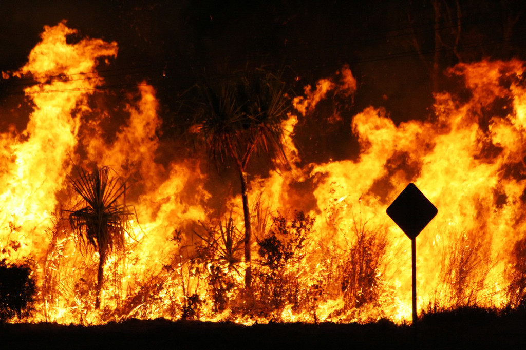 blazing bushfire NSW Australia