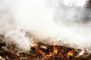 bushfire safety