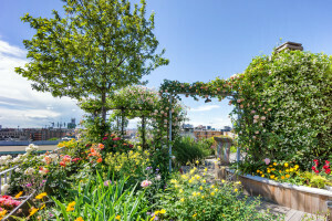 green roof garden